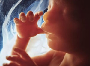 1389168285_korpe_usaq_ana_betni_001112