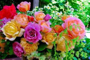 1743604_668647949845542_1922477067_n