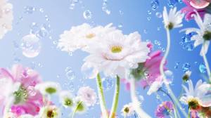 10590529_748914975162597_3151588064088973222_n